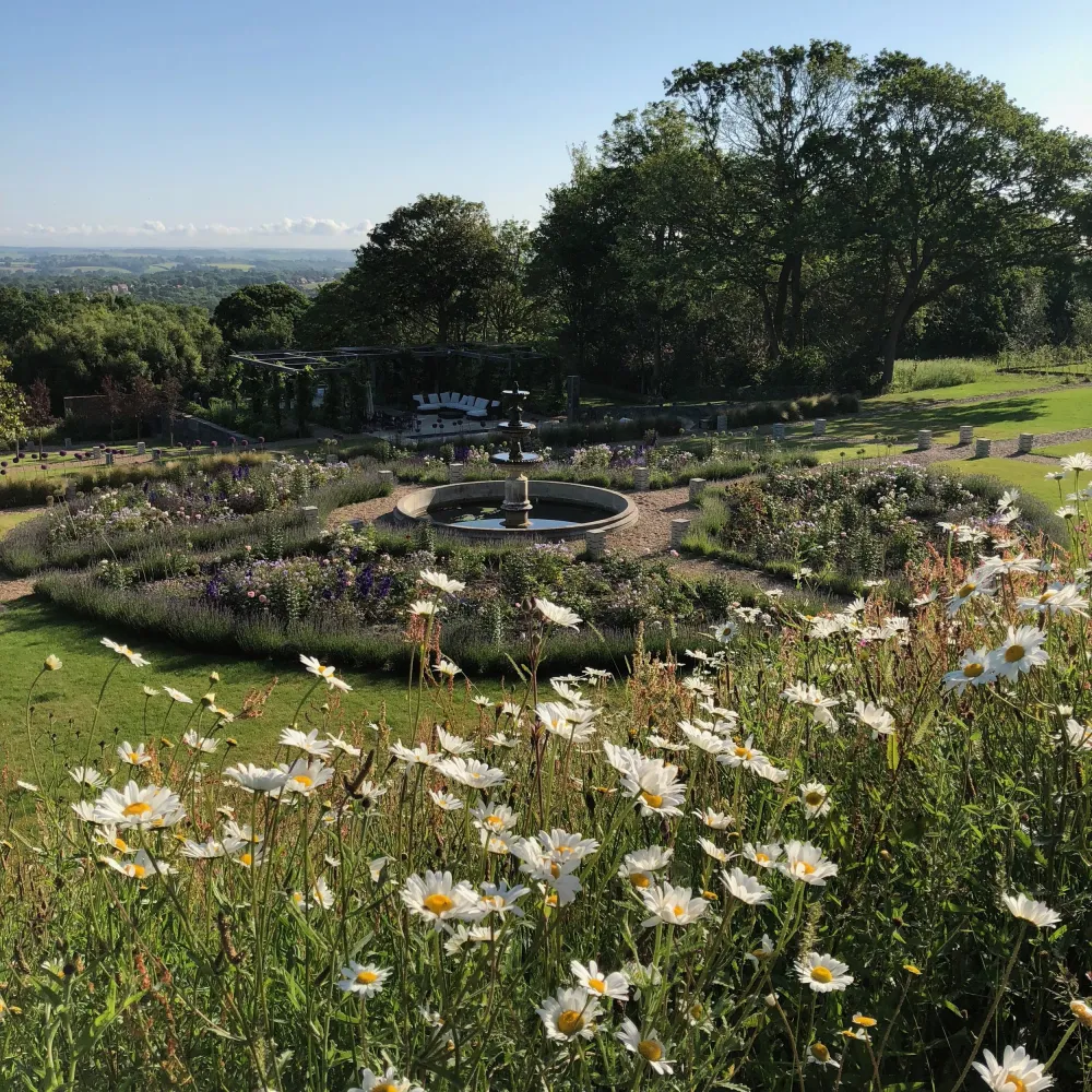 View of fountain and rose garden, looking over wildflower meadow with ox-eye daisies
