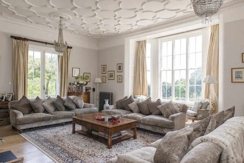 Sitting room with ceiling details